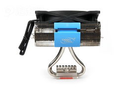 九州風(fēng)神虎鯊其他圖片下載